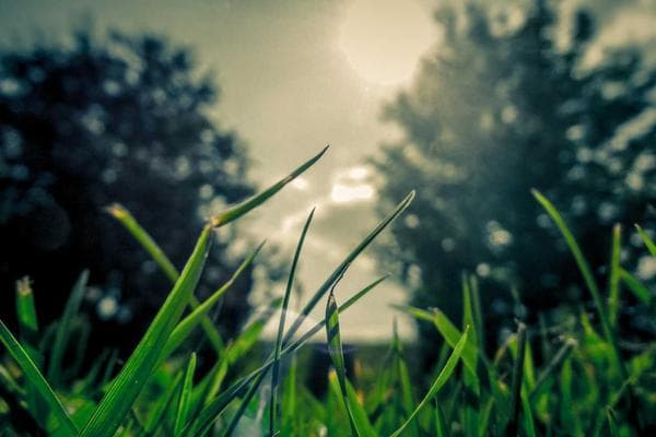 Mandarin Immersion Playgroup