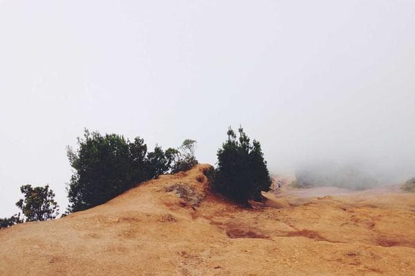 Taekwondo Little Warriors
