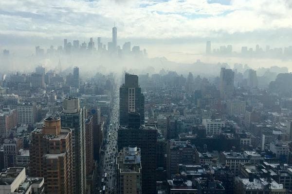 Loshberry Code Studio