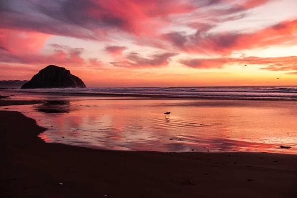 The Brainery Code @ Jurong